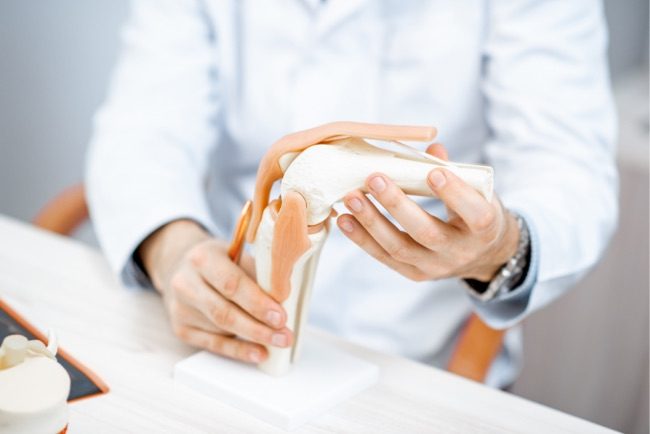 Anatomisches Modell eines Kniegelenk im Vordergrund, im Hintergrund Röntgenbilder.